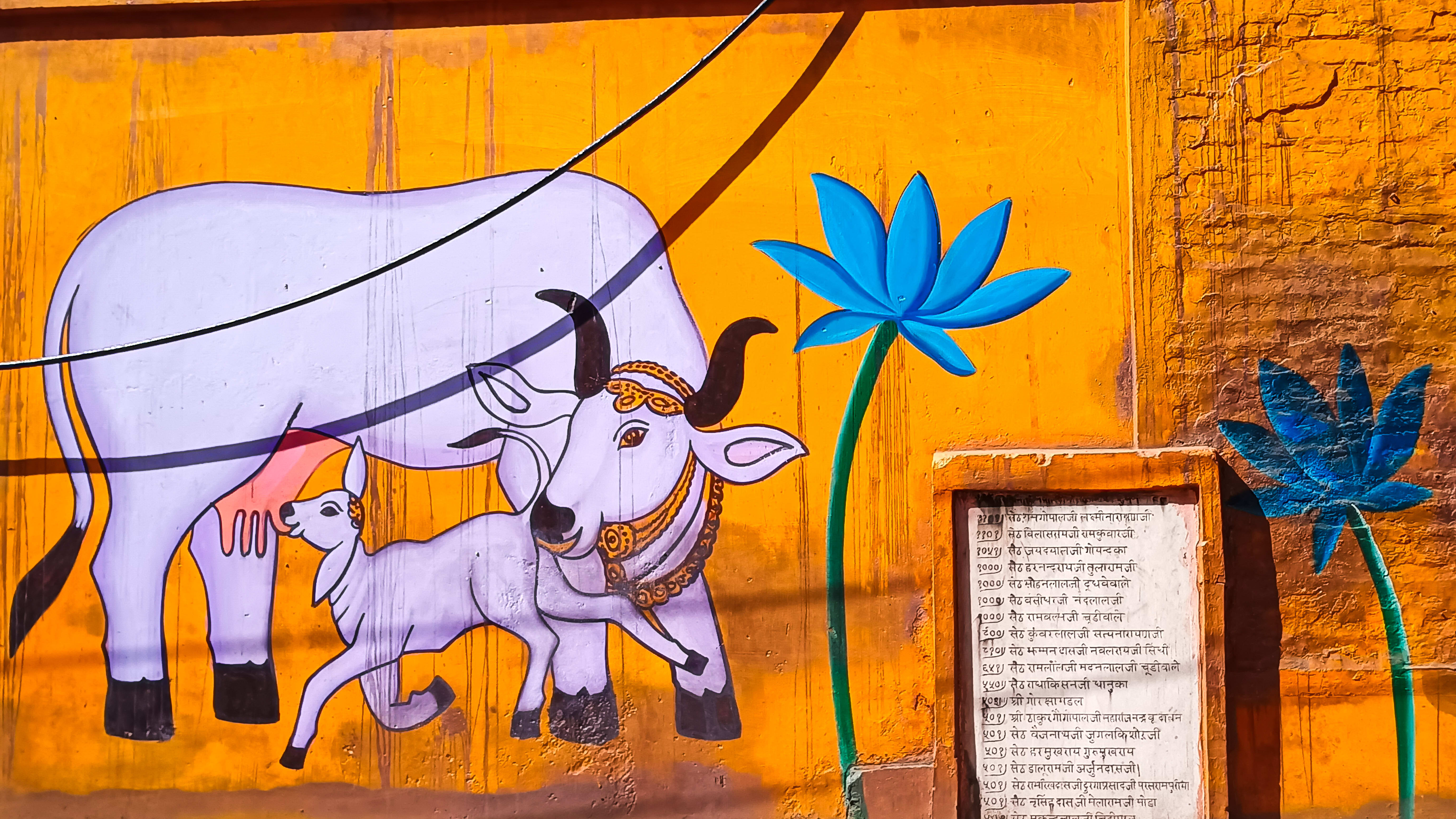 walls of Braj