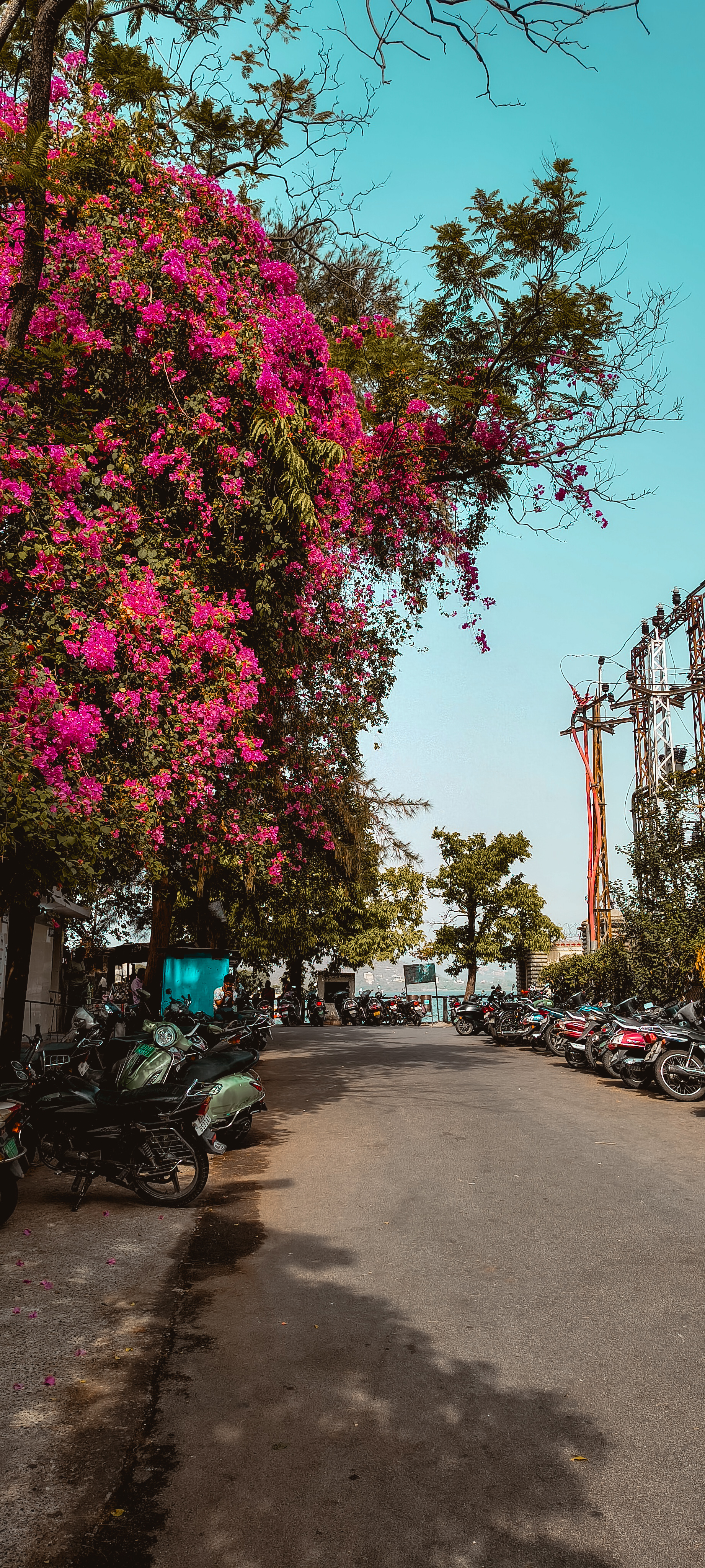 Inskcon Vrindavan