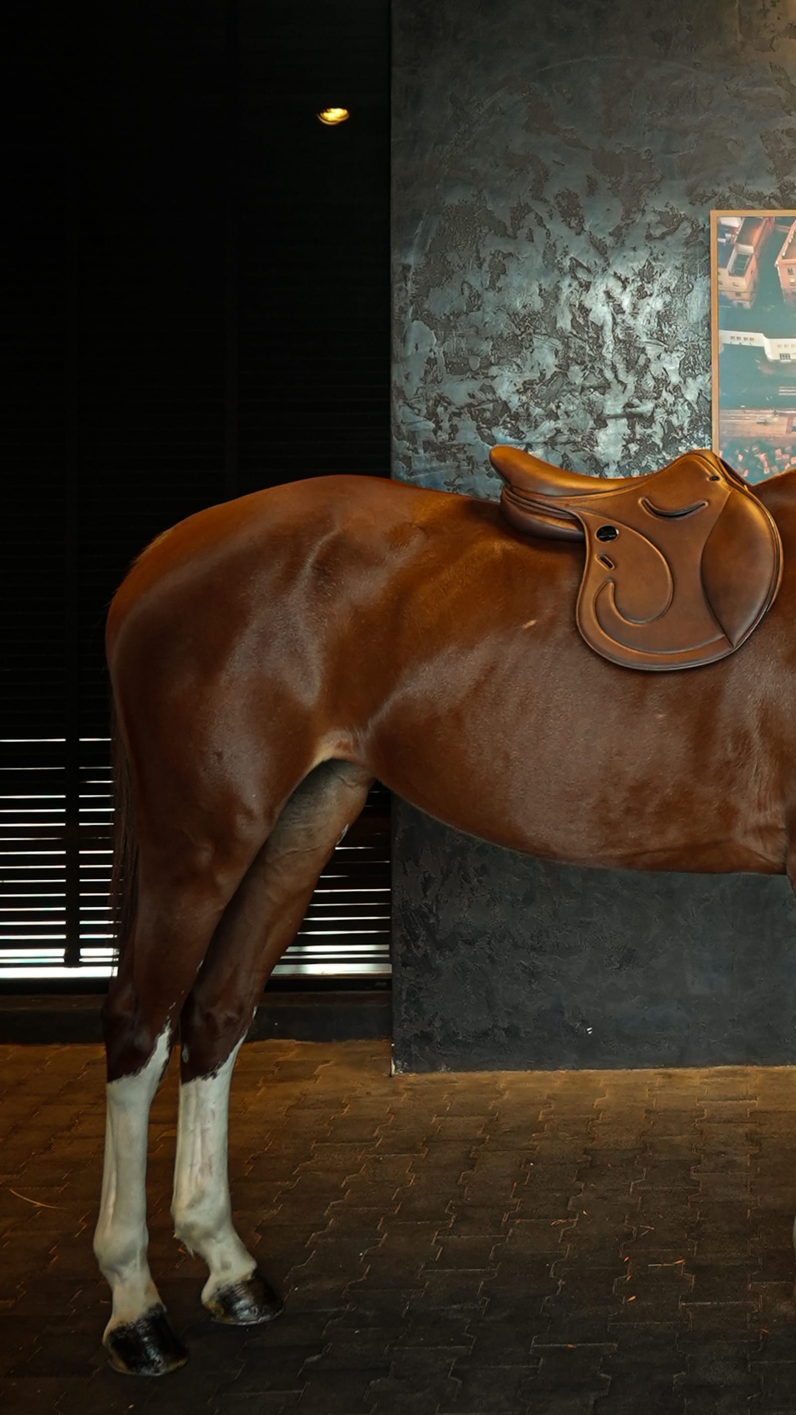 — Equestrian saddle · Archive piece