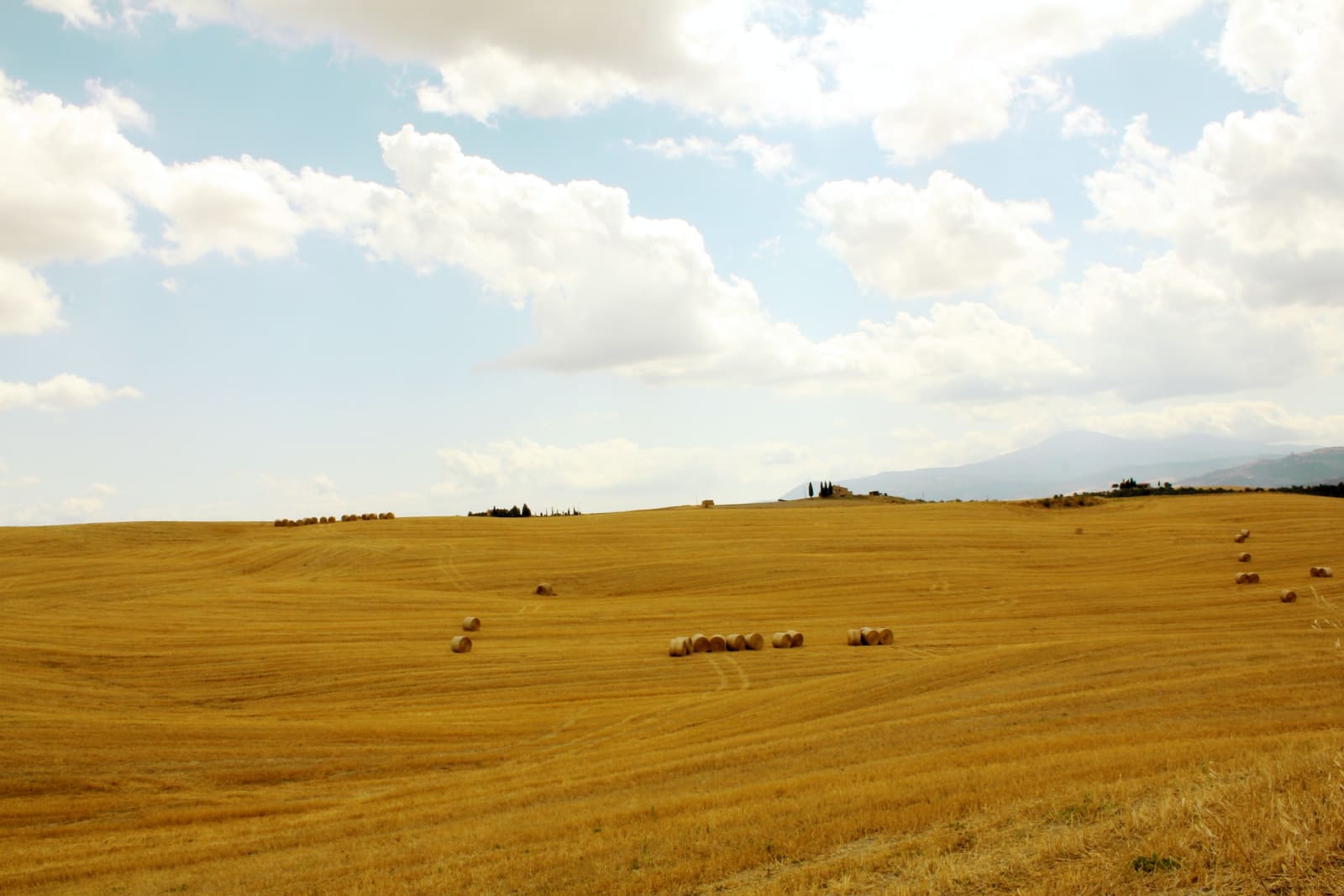 Cover Image for In bici tra le meraviglie della Val d'Orcia: un itinerario cicloturistico da sogno