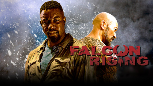 Falcon Rising