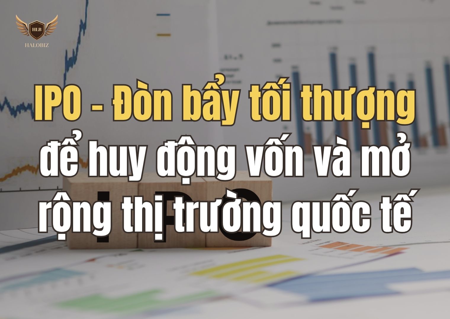 IPO – Đòn bẩy tối thượng để huy động vốn và mở rộng thị trường quốc tế