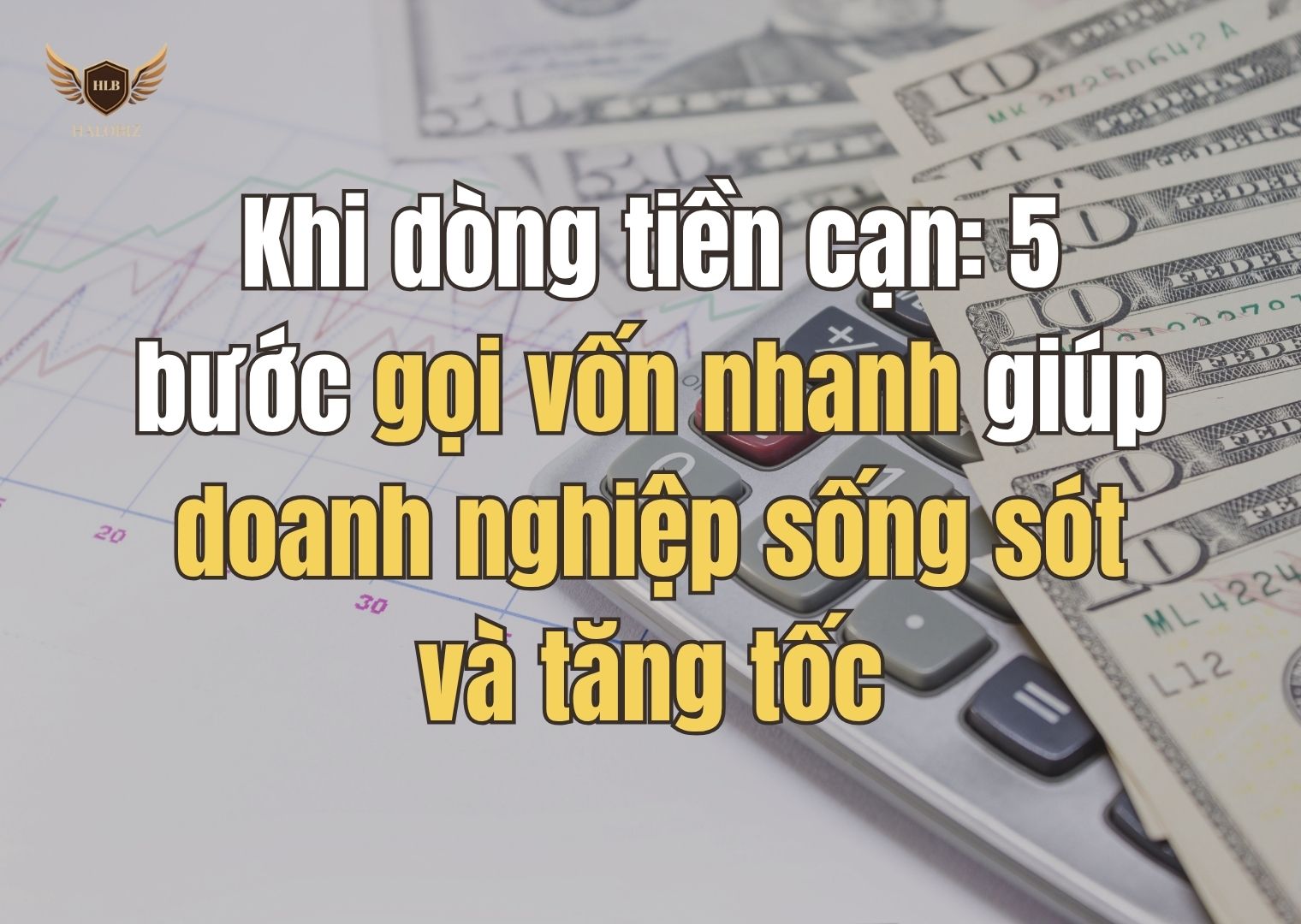 Khi dòng tiền cạn: 5 bước gọi vốn nhanh giúp doanh nghiệp sống sót và tăng tốc