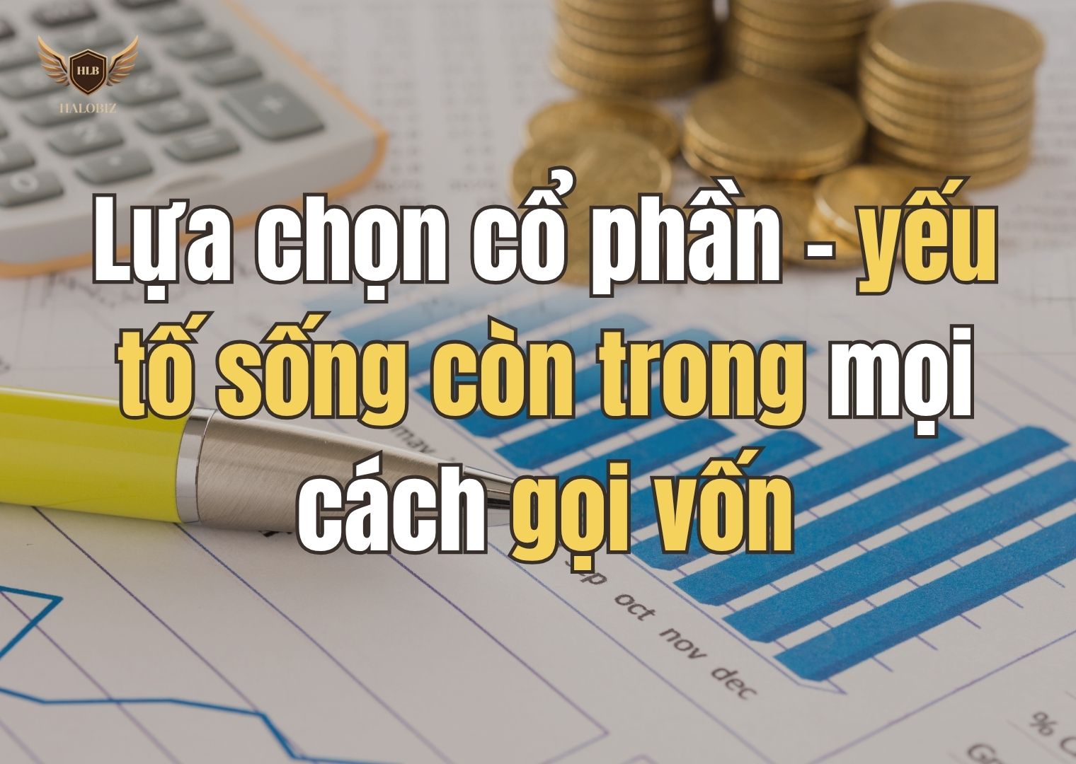 Lựa chọn cổ phần – yếu tố sống còn trong mọi cách gọi vốn