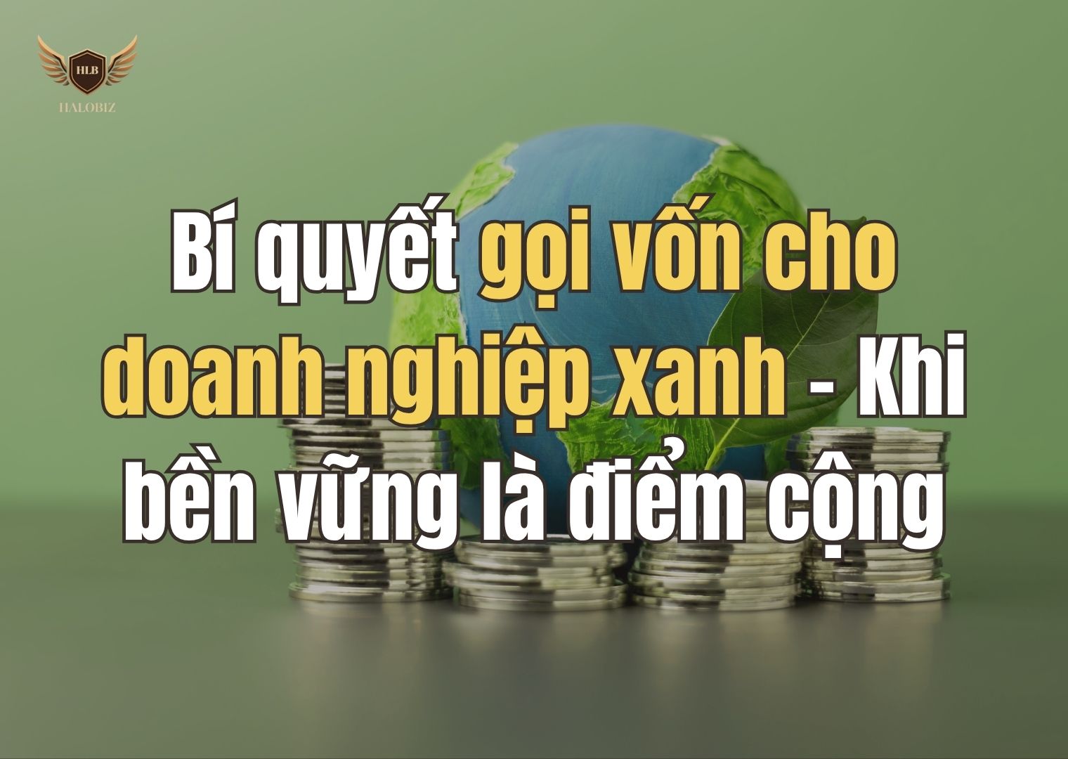 Bí quyết gọi vốn cho doanh nghiệp xanh – Khi bền vững là điểm cộng