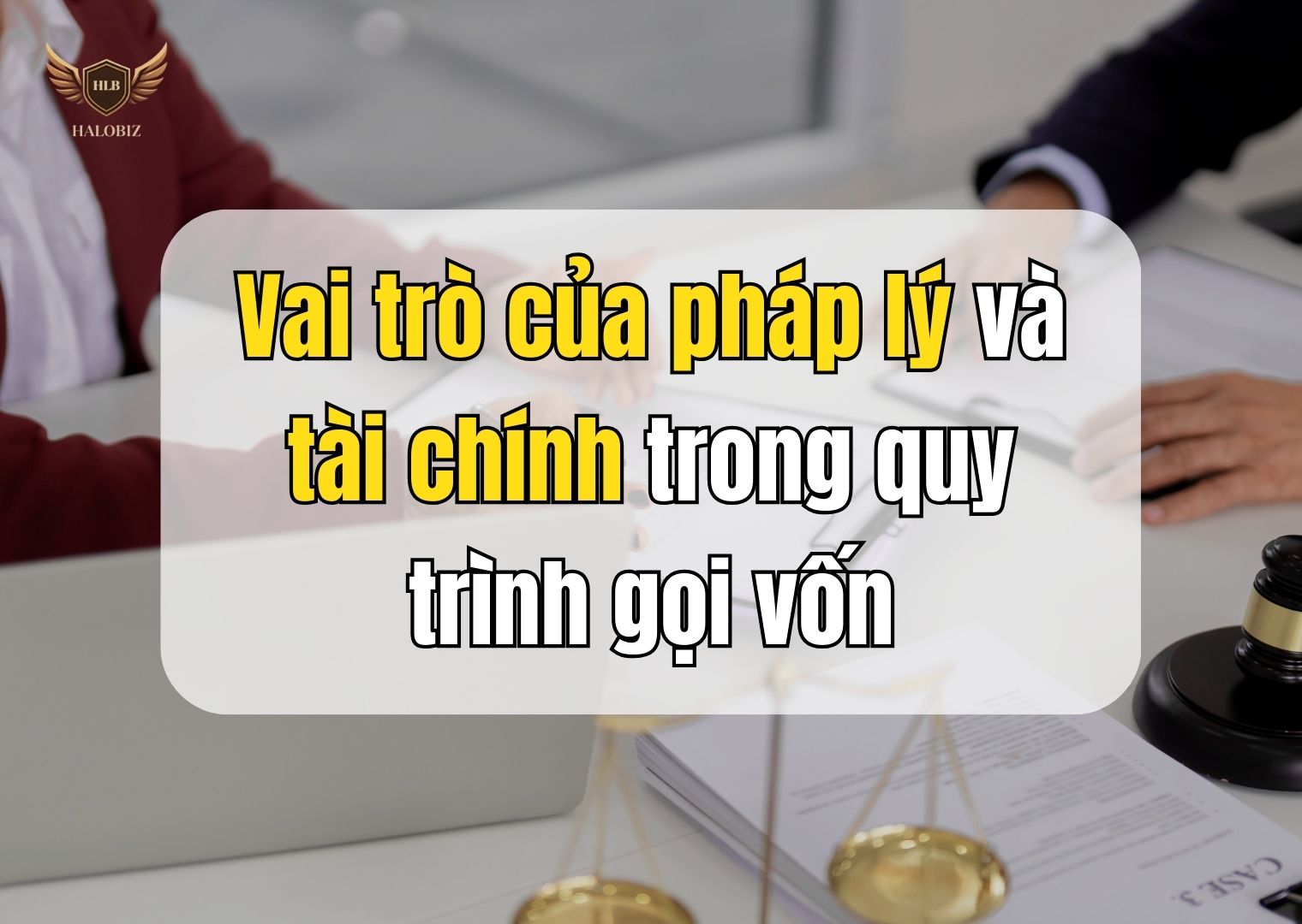 Vai trò của pháp lý và tài chính trong quy trình gọi vốn