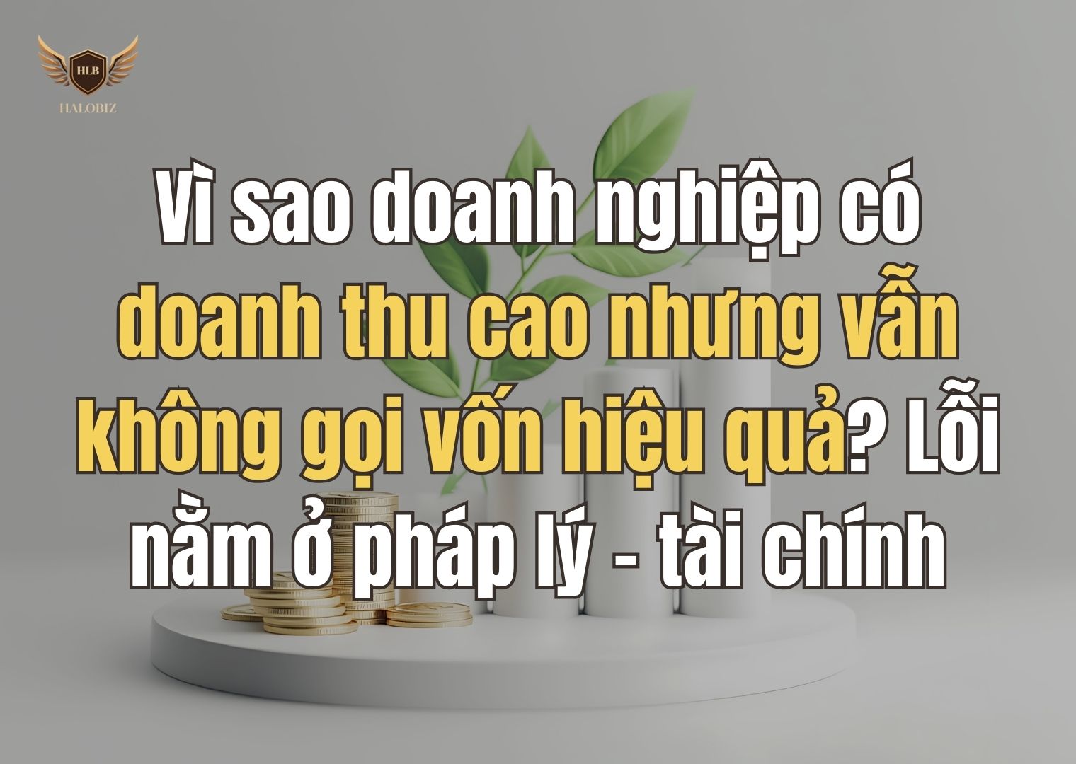 Vì sao doanh nghiệp có doanh thu cao nhưng vẫn không gọi vốn hiệu quả? Lỗi nằm ở pháp lý – tài chính