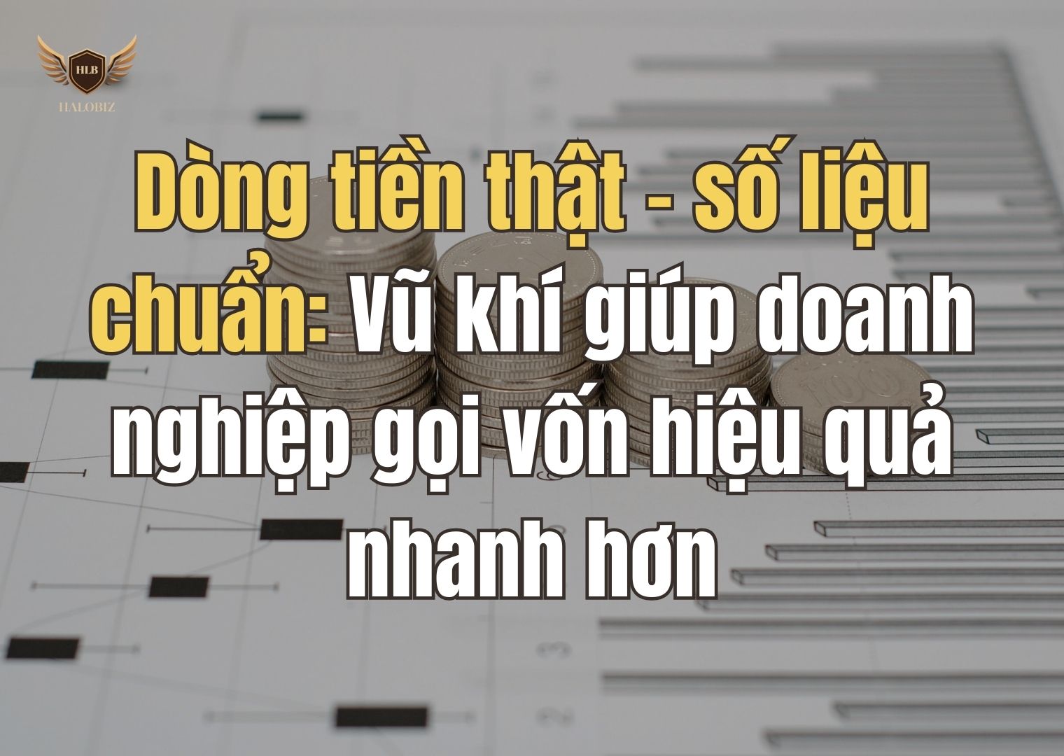 Dòng tiền thật – số liệu chuẩn: Vũ khí giúp doanh nghiệp gọi vốn hiệu quả nhanh hơn