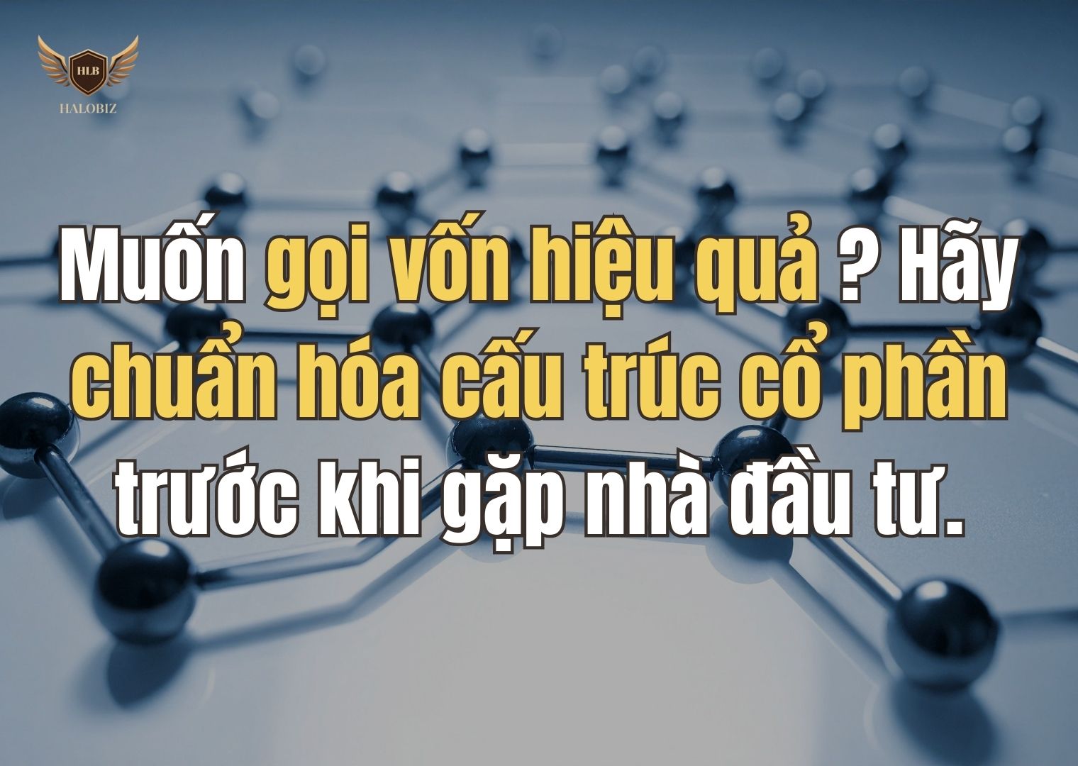 Muốn gọi vốn hiệu quả? Hãy chuẩn hóa cấu trúc cổ phần trước khi gặp nhà đầu tư
