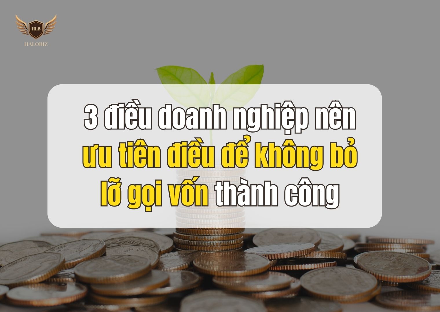 3 điều kiện tối thiểu để doanh nghiệp gọi vốn thành công