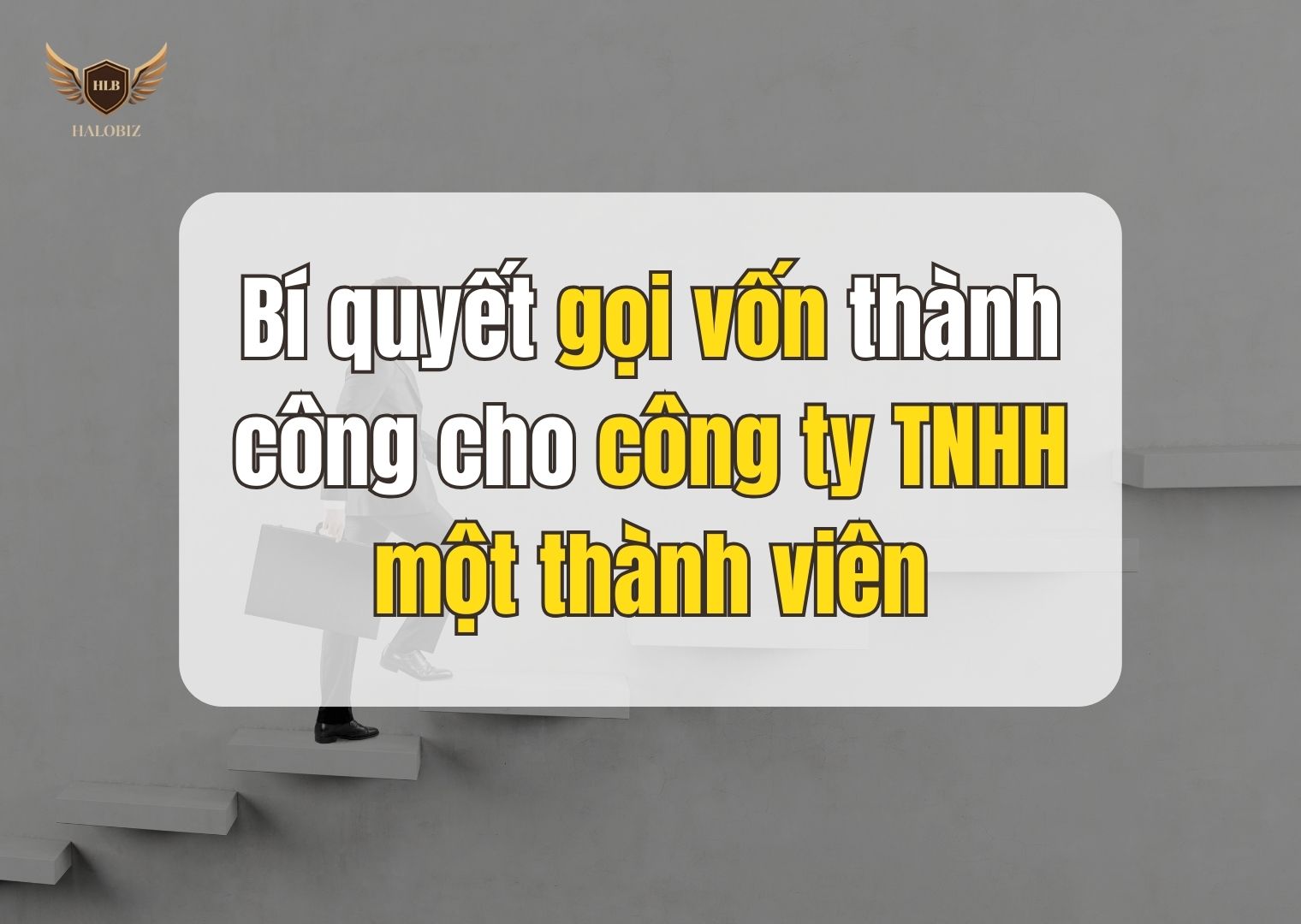 Bí quyết gọi vốn thành công cho công ty TNHH một thành viên