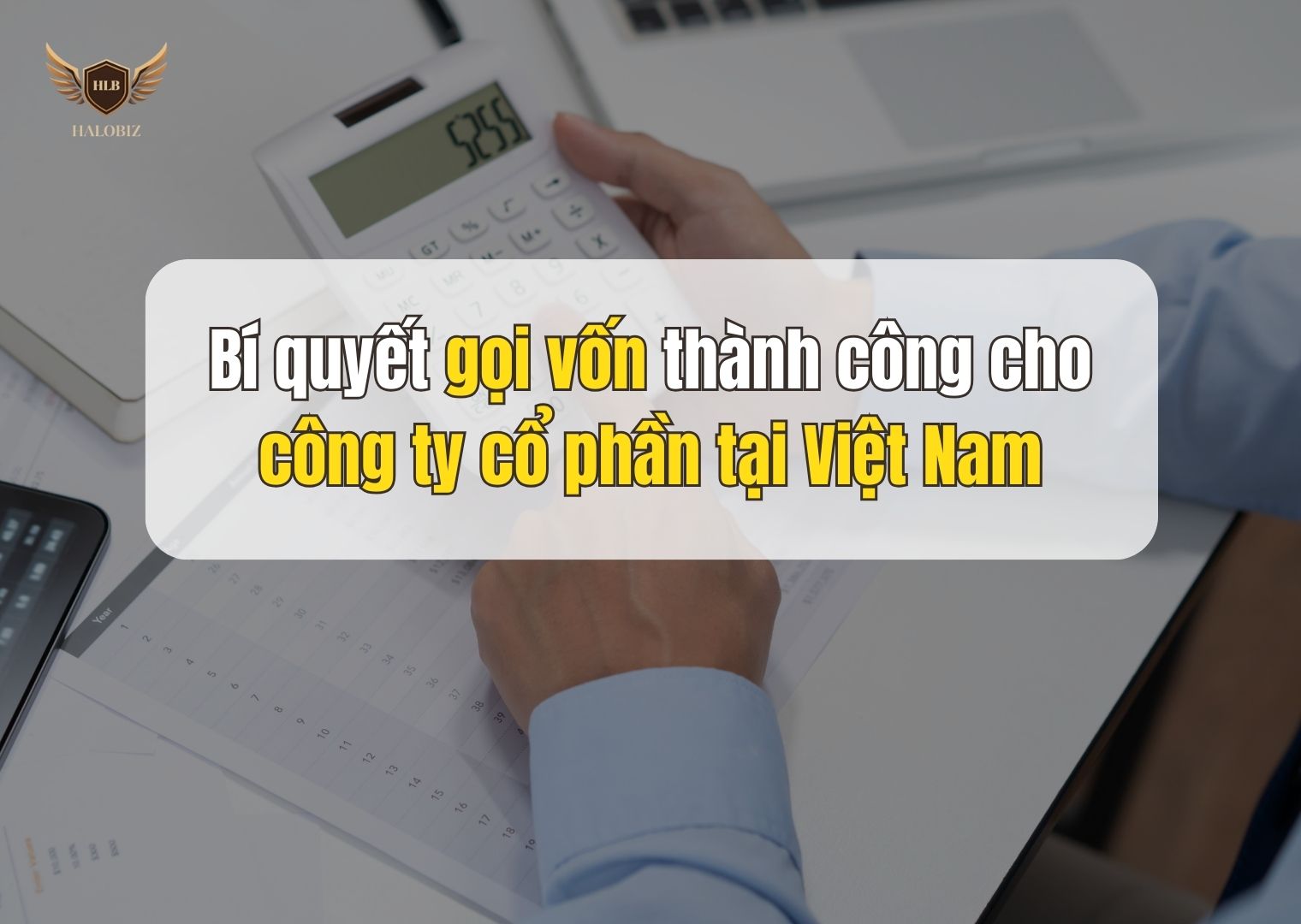Bí quyết gọi vốn thành công cho công ty cổ phần tại Việt Nam