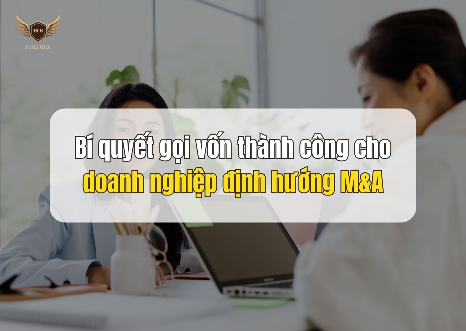 Bí quyết gọi vốn thành công cho doanh nghiệp định hướng M&A