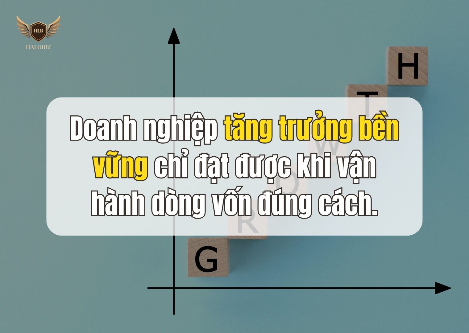 Doanh nghiệp tăng trưởng bền vững chỉ đạt được khi vận hành dòng vốn đúng cách.