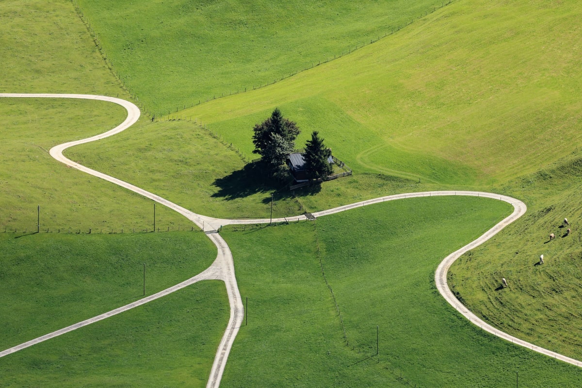 Grassy Intersection