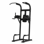 Insight Fitness Vertical Knee Rise / Dip - DR008