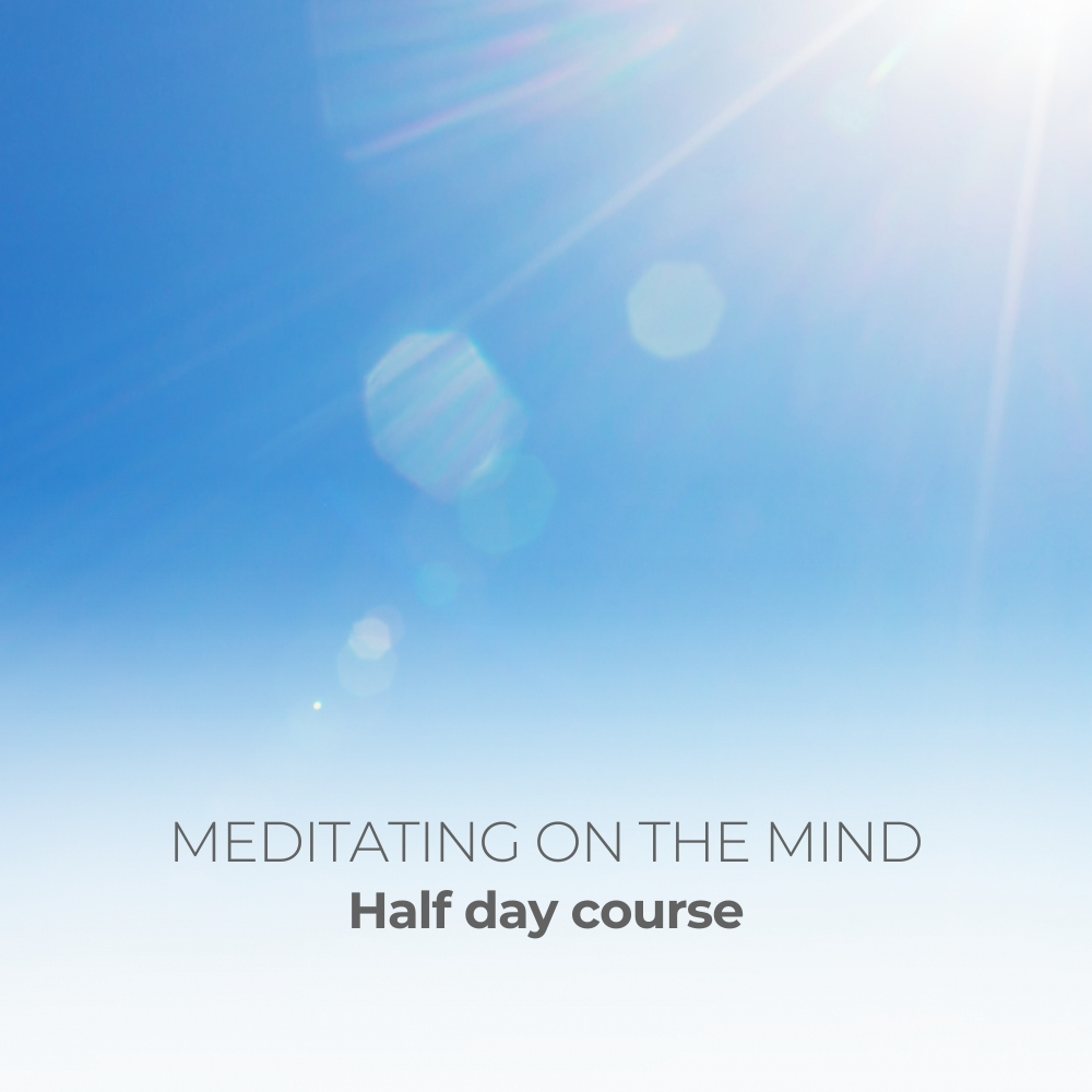 Meditating on the mind