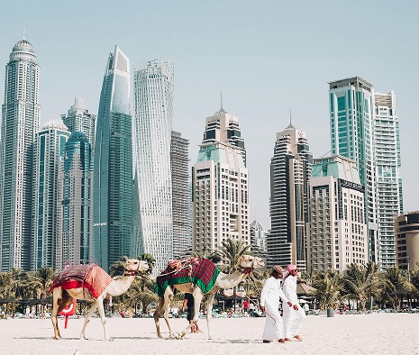 City skyline with modern buildings and camels
