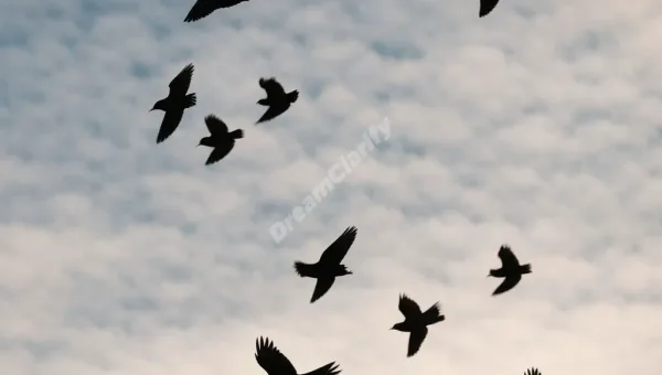 The Hidden Meanings Behind Dreaming of Jackdaws