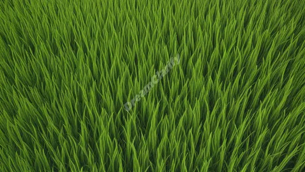 The Meaning of Dreaming About Grass