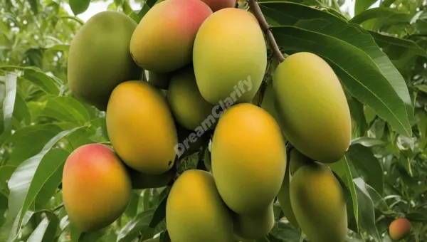 The Meaning of Mangoes in Dreams