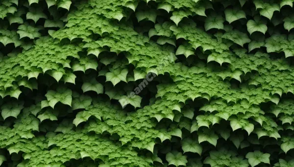 Unveiling the Mysteries of Ivy in Your Dreams