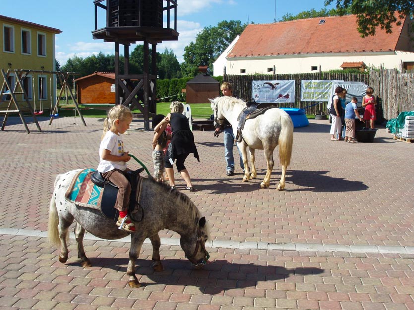 Snímek 13