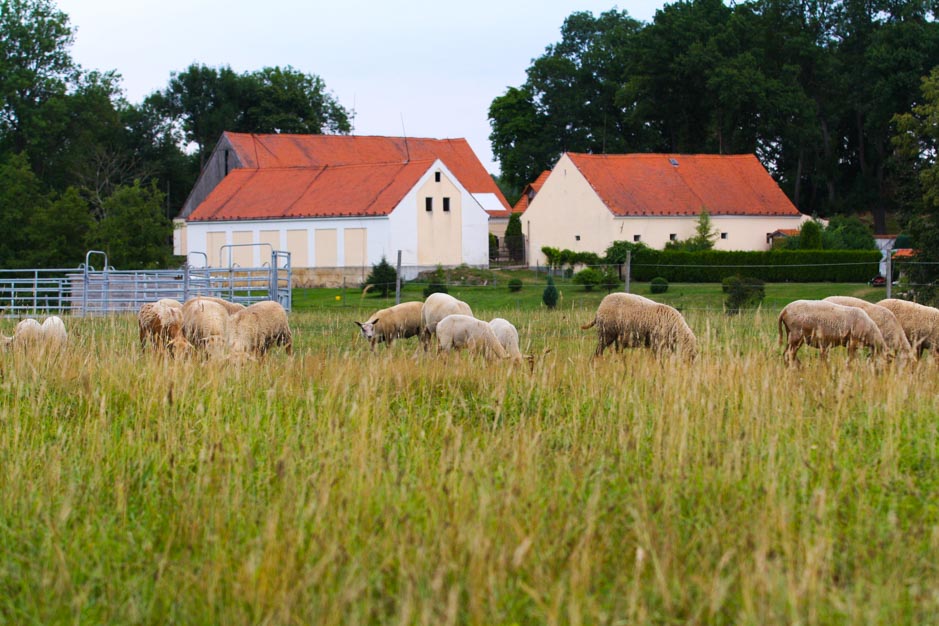 Snímek 17