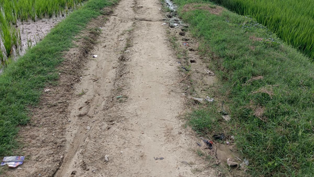  बारिश में कीचड़ और फिसलन से बढ़ी परेशानी, रोज गुजरते हैं बच्चे-बुजुर्ग