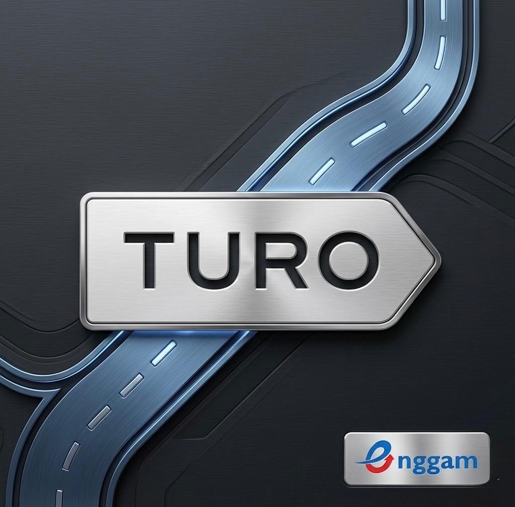 $500-Turo