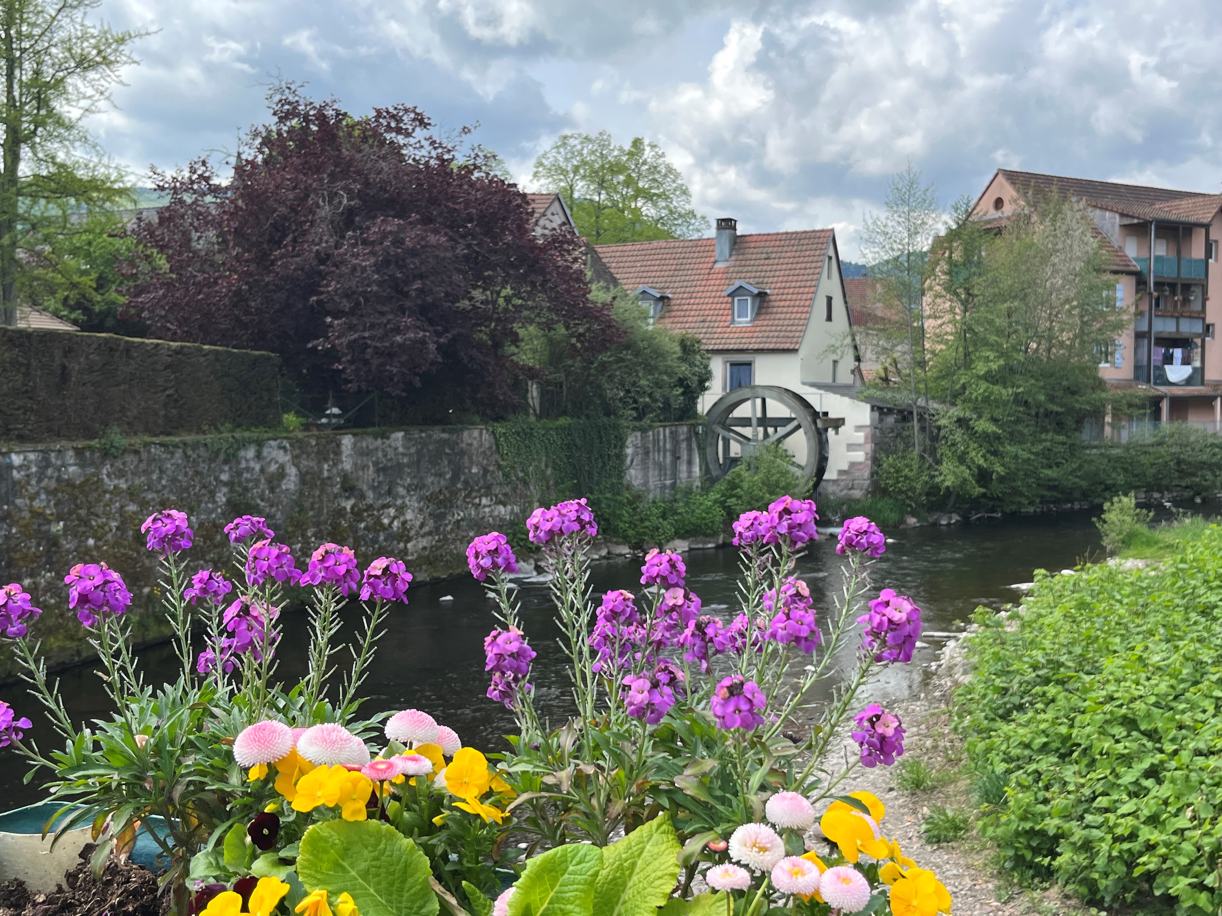 Photo village Masevaux fleurie