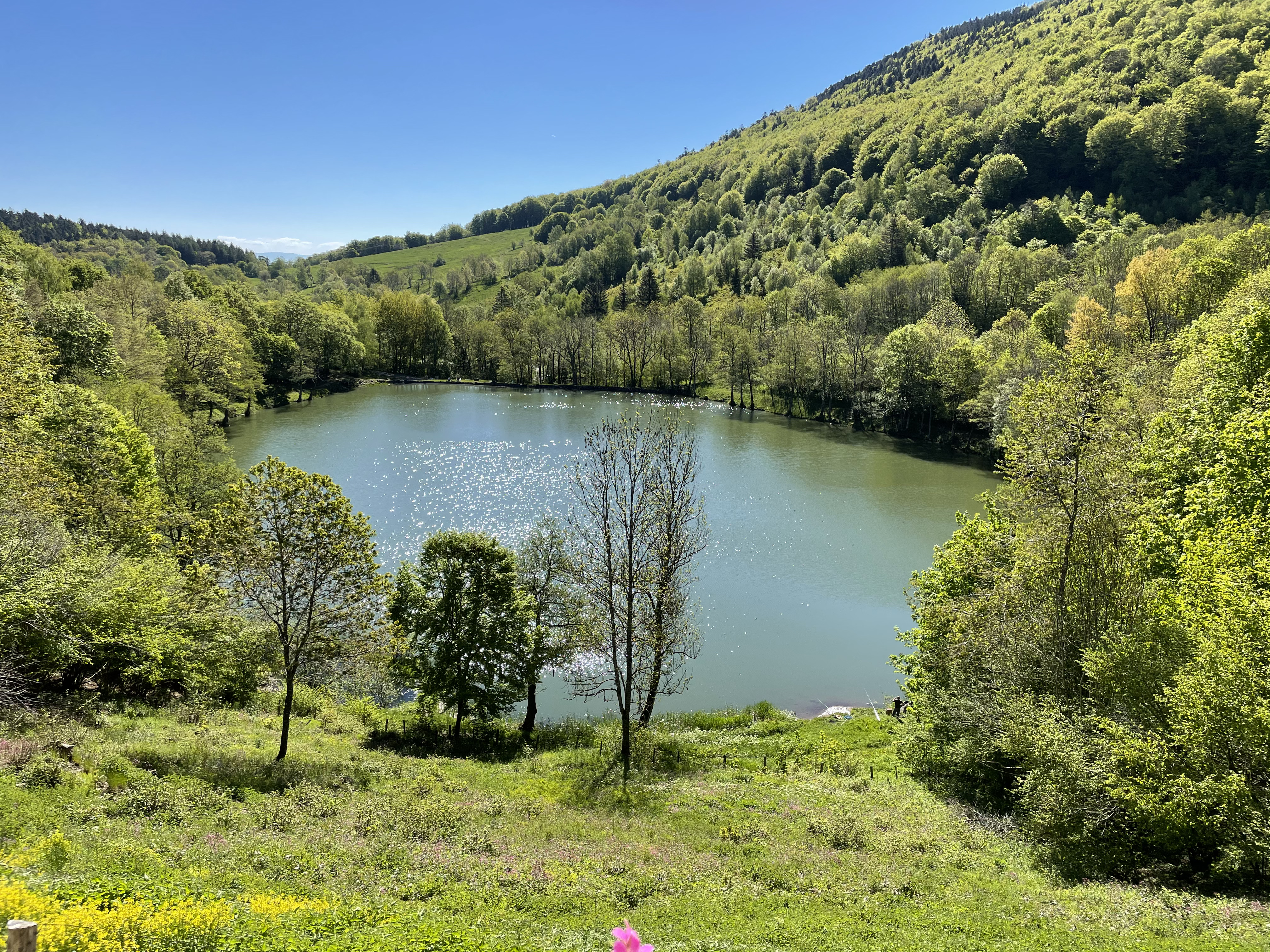 Photo lac du latchelweilher à Masevaux