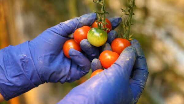 Organic food in Azerbaijan