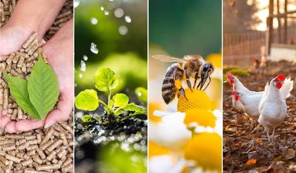 Harvesting sustainability: Innovations and practices in modern agriculture