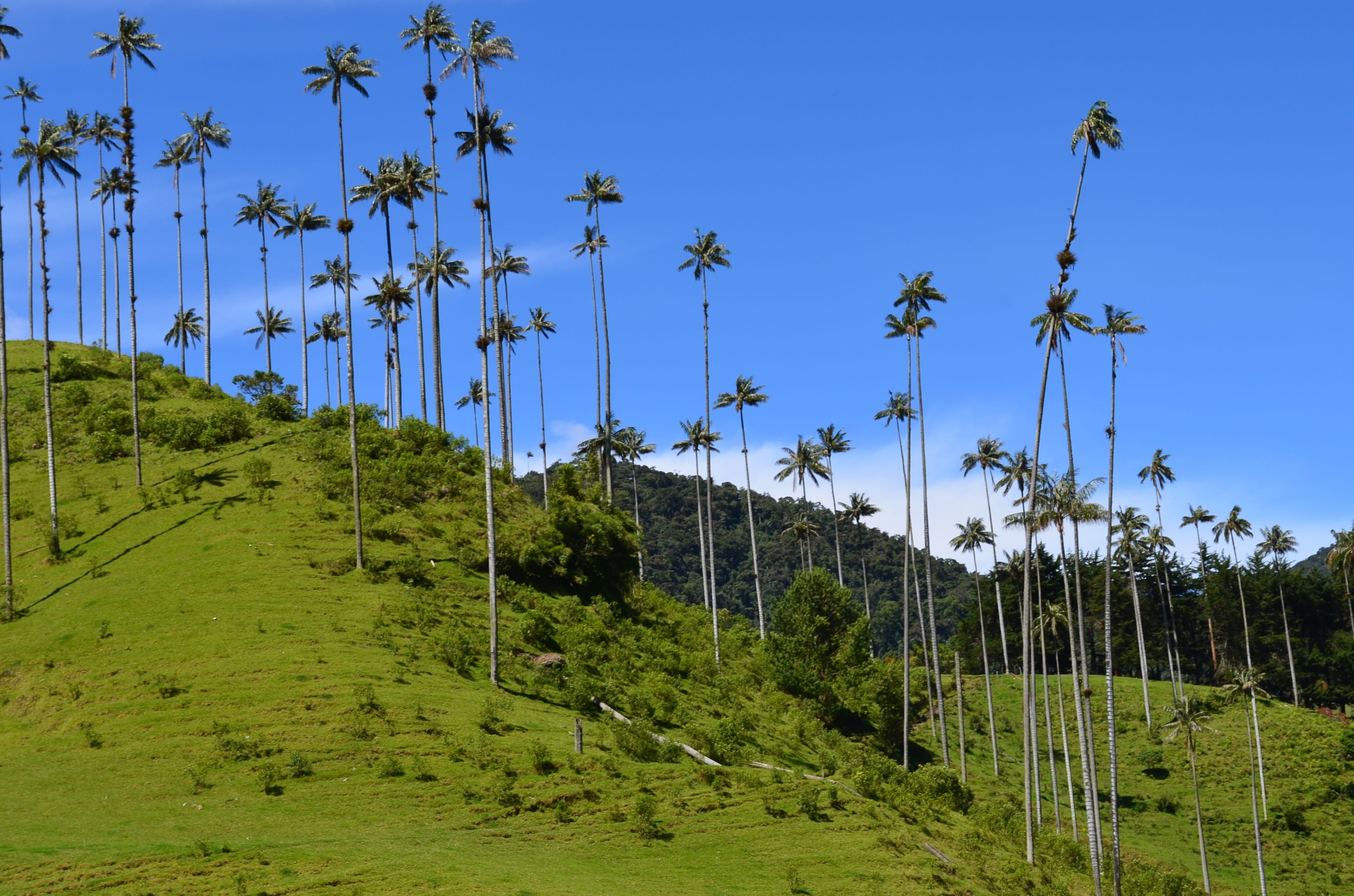Colombia
