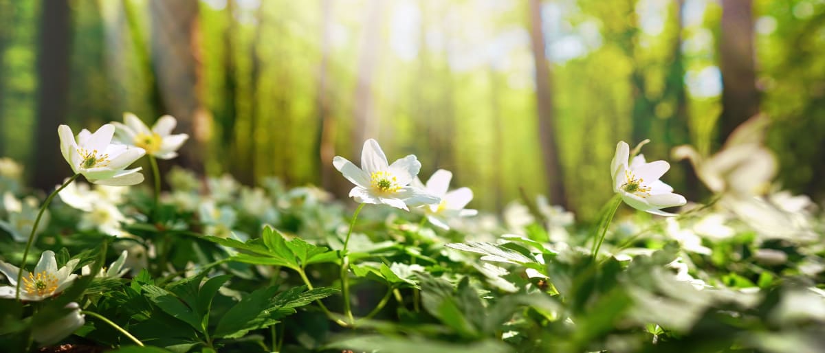 Miljøvennlige produkter oslo kommune