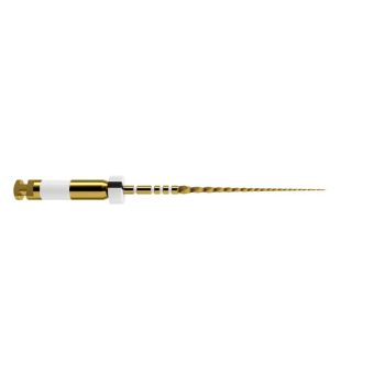 WAVEONE GOLD GLIDER 21MM 6 STK STERIL MAILLEFER