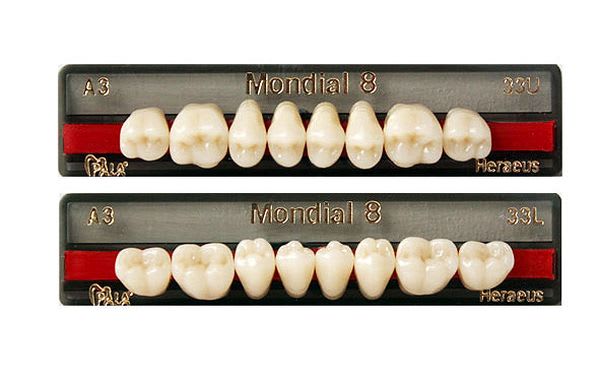 Mondial8 A3.5 37 U
