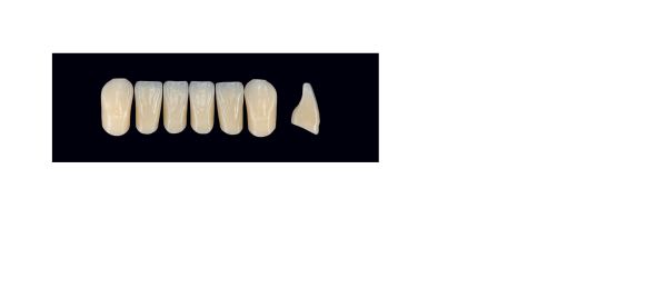 TENNER FRONT UBS A3.5 ARTEGRAL LIFE