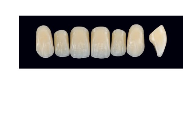 TENNER FRONT IS A3 ARTEGRAL LIFE