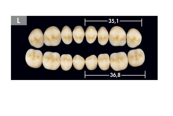 TENNER DIATORER L OK B3 ARTEGRAL LIFE