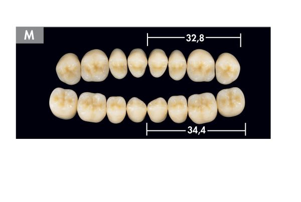 TENNER DIATORER M UK D3 ARTEGRAL LIFE