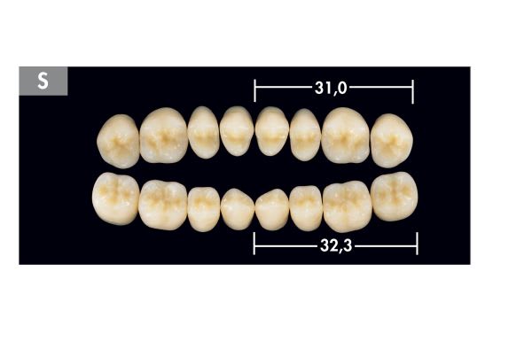 TENNER DIATORER S OK A4 ARTEGRAL LIFE