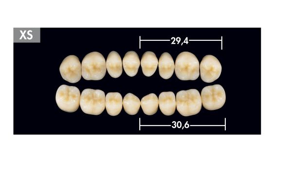 TENNER DIATORER XS OK C3 ARTEGRAL LIFE