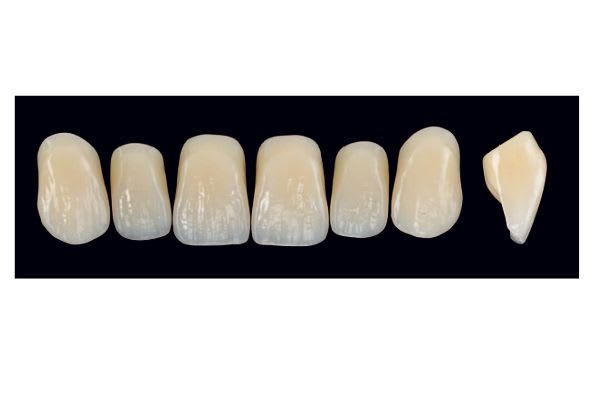 TENNER FRONT BL A4 ARTEGRAL LIFE