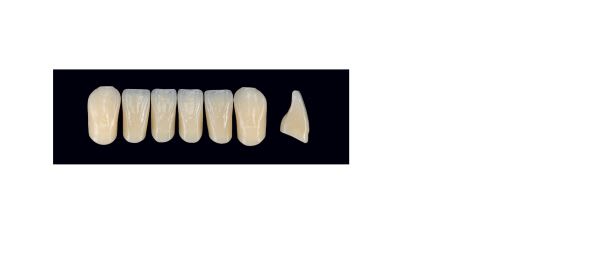 TENNER FRONT UBL B4 ARTEGRAL LIFE