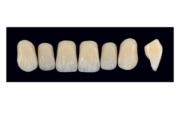 TENNER FRONT BM A1 ARTEGRAL LIFE