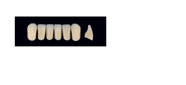 TENNER FRONT UBM B3 ARTEGRAL LIFE