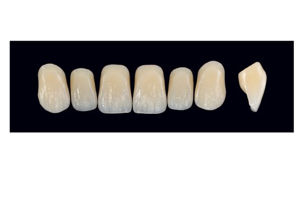 TENNER FRONT BS D3 ARTEGRAL LIFE