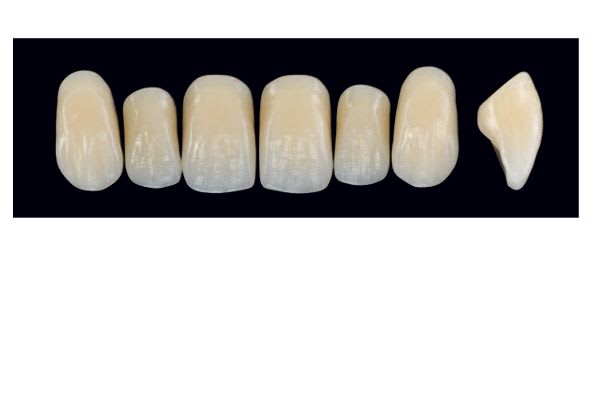 TENNER FRONT IL A1 ARTEGRAL LIFE